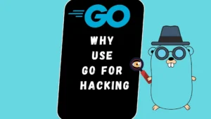 Why use Go for hacking?