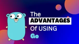 The Advantages Of Using Go