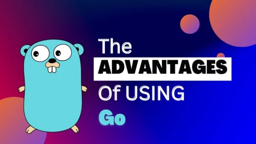 the-advantages-of-go