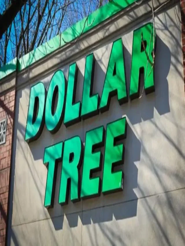 5 Best New Items Coming to Dollar Tree in March